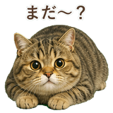 852351516