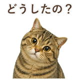 852351518