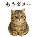 852351524