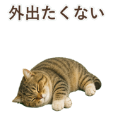 852351527