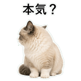 852351537