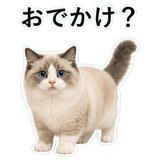 852351541