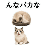 852351547
