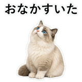 852351551
