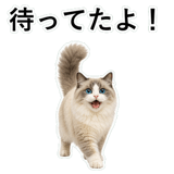 852351552