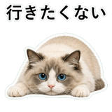 852351554