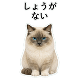 852351565