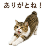 852351569