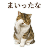 852351571