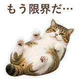 852351573