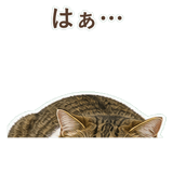 852351578