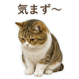 852351584