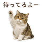 852351587