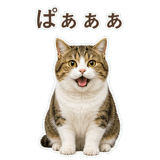 852351594