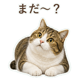852351596