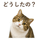 852351598