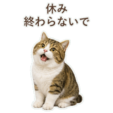 852351601