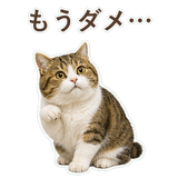 852351604