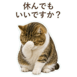 852351605