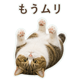 852351606