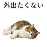 852351607