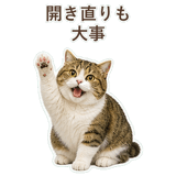 852351608