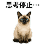 852351610
