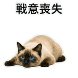 852351611