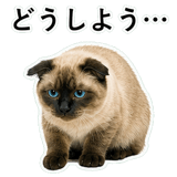 852351615