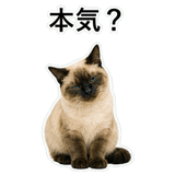 852351617