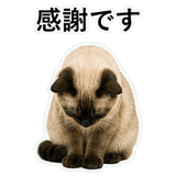 852351619