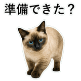 852351620