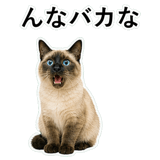 852351627
