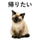 852351633