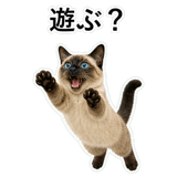 852351641