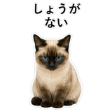 852351645