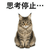 852351666