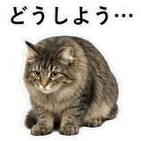 852351671