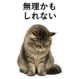 852351680