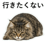852351690