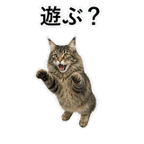 852351697