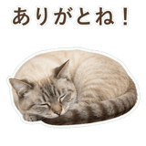 852351705