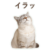 852351706