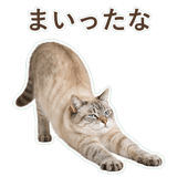 852351707