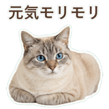 852351708