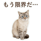 852351709