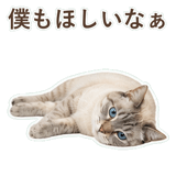 852351710