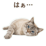 852351714