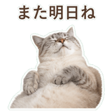 852351716