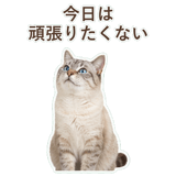 852351718